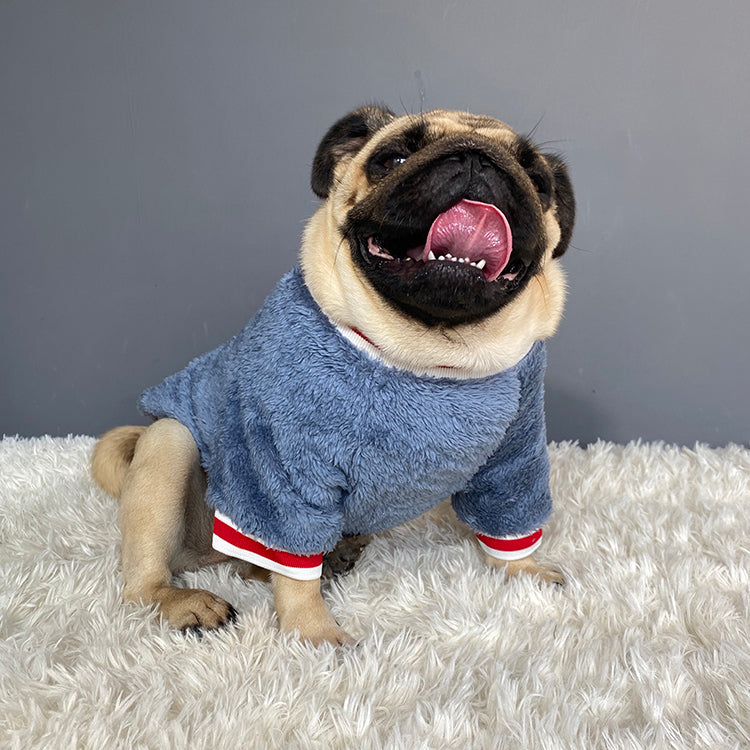 The Perfect Pet Sweater: Comfort and Style for Your Furry Friend